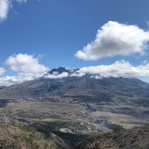 Meet your Posher, Bailey